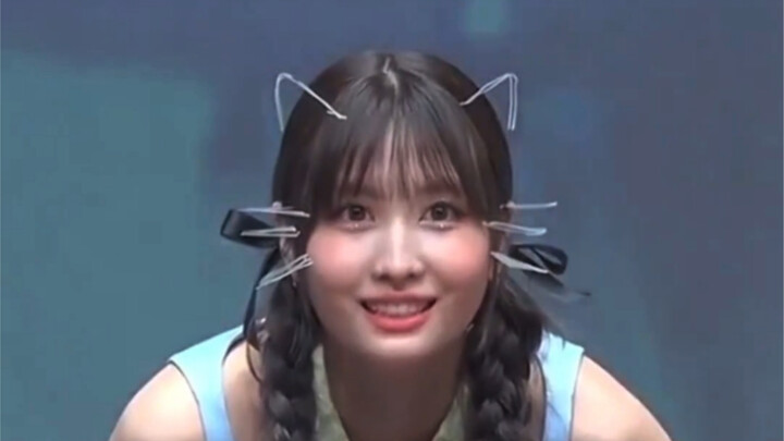 平井桃签售在透明板子上画小猫，也太可爱了吧