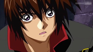【Gundam SEED FREEDOM】Siluet Lagu Dream-Reborn/Theatrical Support MAD