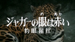 圆谷早年特摄《怪奇大作战》第十一话-豹眼猩红