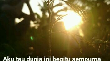 #kata-kata-motipasi-untuk-hidup-di-dunia