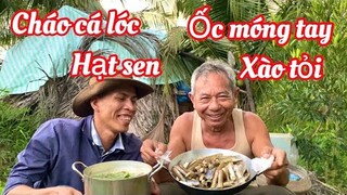 Cháo cá lóc hạt sen & ốc móng tay xào tỏi thơm mùi mạ mới giữa cánh đồng miền tây
