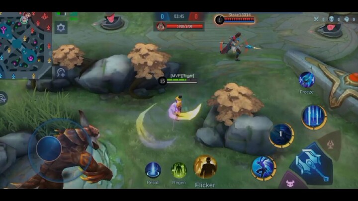 Trend Freestyle ling