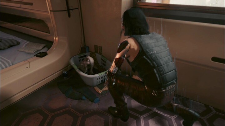 Johnny Taught by the Cat