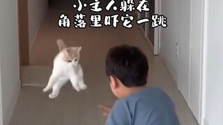 A cat with a strong sense of revenge