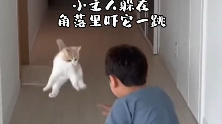 一只报复心很强的猫咪