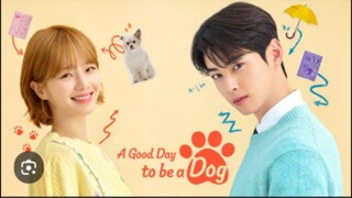 A GOOD DAY TO BE A DOG TAGALOG EP03