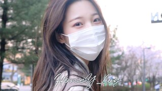 【中字】大学生白知宪vlog，励志成功考上首尔女大上学+介绍校园
