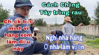 Chị chồng bực vì hàng xóm/chồng Tây chia sẻ bí quyết trồng rau không bị bệnh/Cuộc sống pháp