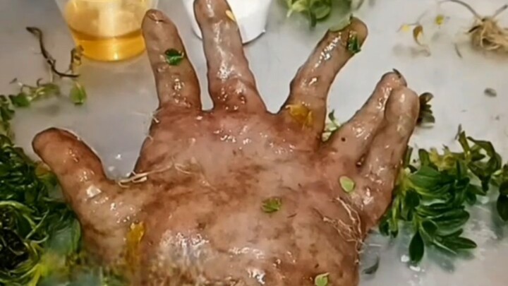 Tangan tanaman yang membantu pertumbuhan telah mencapai titik akhir pertumbuhannya.