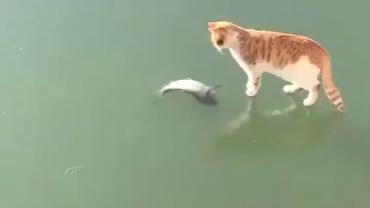 قريب جدًا لكن لا أستطيع أكله