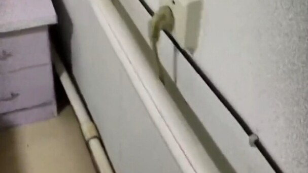 ตามที่คาดไว้ ไม่มีอะไรน่าตื่นเต้น