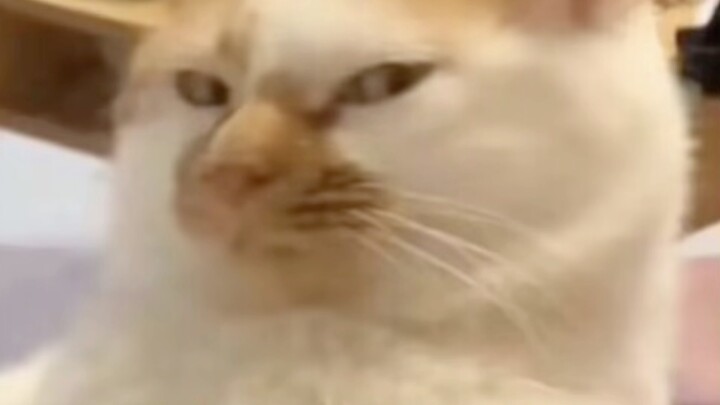 ما هي أكبر فضيحة وقعت فيها في العمل؟ 🤣 #بيئة_العمل #محتوى_واقعي_جداً #مضحك