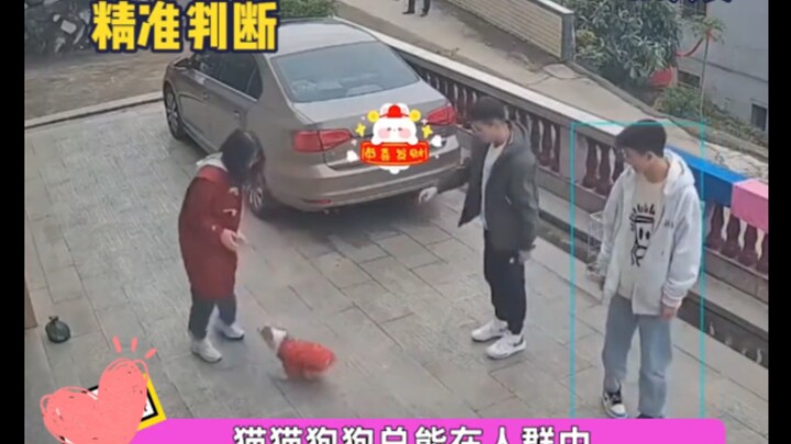 This is exactly how I look when I'm scared # Who would have thought # Who could handle this # The co