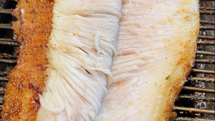 Grilled Shark Fin Tutorial