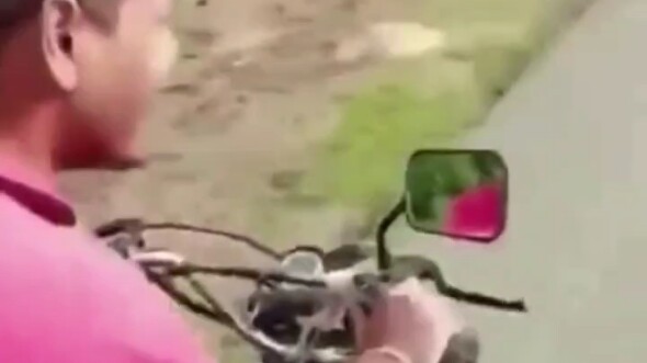 Guys, I’m done for!