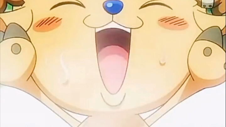 Jadi orang dari Negeri Wano yang disukai Sanji itu perempuan ya?