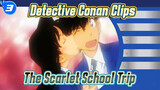 The Scarlet School Trip | Shinichi x Ran Cut / Detective Conan_3