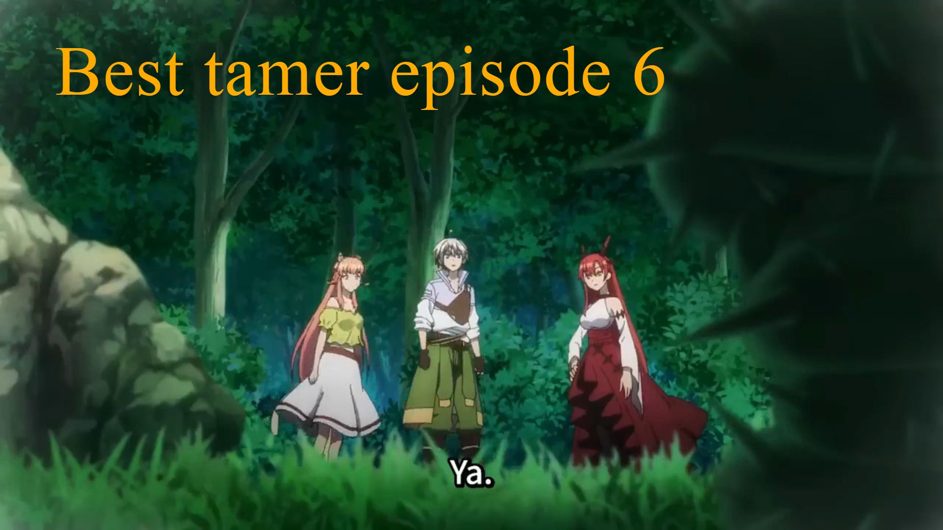 Episode 6] Yuusha party wo tsuihou sareta beast tamer (Sub indo) - Bstation