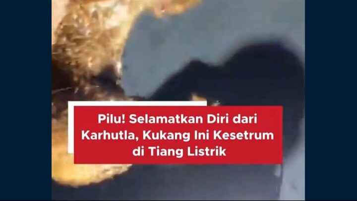#news #beritaindo #fyp