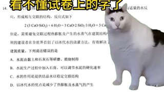【猫meme】考上重点高中却留下一辈子创伤