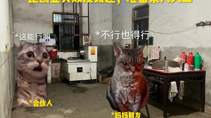 爱你老妈
