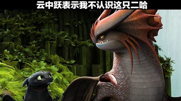 [How to Train Your Dragon] Cloud Jumper says, "I don't know this husky."