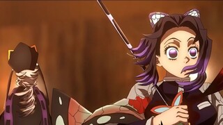 Demon Slayer: Homemade Animation, Shinobu Kocho vs. Child Demon, recommended to watch after collecti