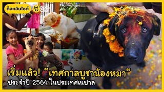 เริ่มแล้ว! "คุคูร์ ติฮาร์" เทศกาลบูชาเทพเจ้าและเหล่าสัตว์ศักดิ์สิทธิ์ | Dog's Clip