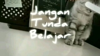 jangan tunda belajar