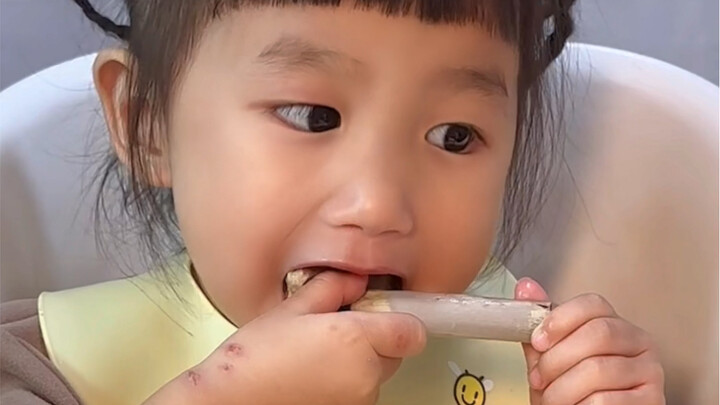 Lumut laut yang lebih besar dari tangan