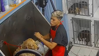 No wonder it takes dogs so long to bathe.