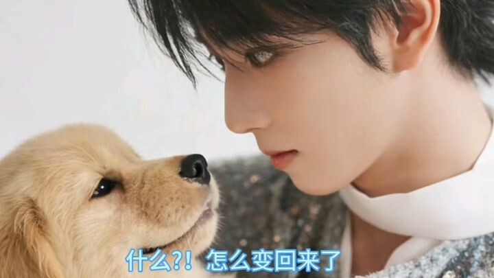 愿望成真，我变成了哥哥的小狗1️⃣ #橹穆 #ooc致歉 #ai语音