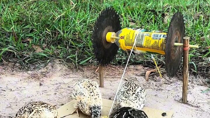 [World Curiosities Commentary] New release is live—come check it out!