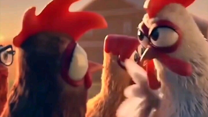 The life of a chicken...