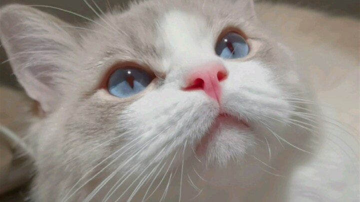 Trời không sinh ra tôi, tiểu Loki thì thế giới mãi chìm trong đêm dài.