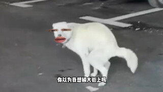 狗子：你俩干点人事吧