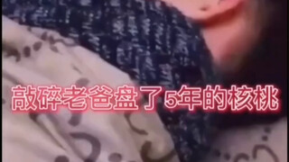 儿子把老爸盘了五年的核桃敲碎了