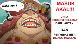 MASUK AKAL!!! Inilah PENYEBAB BIGMOM HILANG INGATAN dan MUNCULNYA STEALTH BLACK