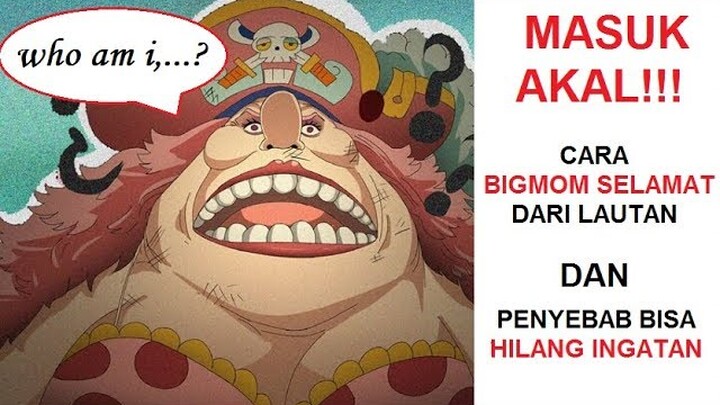 MASUK AKAL!!! Inilah PENYEBAB BIGMOM HILANG INGATAN dan MUNCULNYA STEALTH BLACK