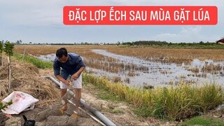 Đặc Lợp Ếch Đồng gợi nhớ lại kỉ niệm xưa những tháng ngày còn mùa nước lũ