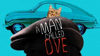 A Man Called Ove 2015 Sub Indo Hd