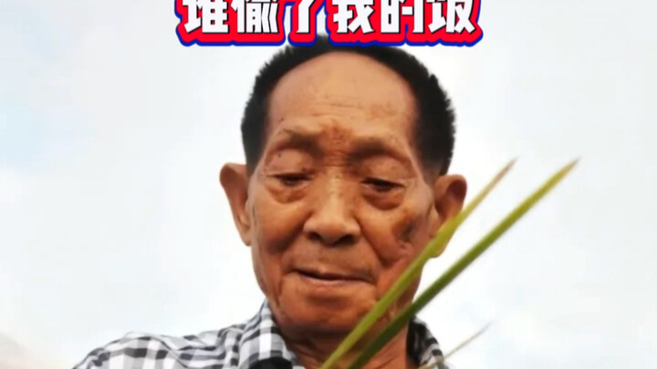 Chả trách mấy hôm nay trời cứ mưa hoài, hóa ra là ông Yuan Longping đang khóc trên trời. Hãy bắt đầu