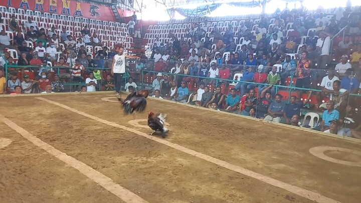 latom Dink per sweater hatch peruvian vs banded red.