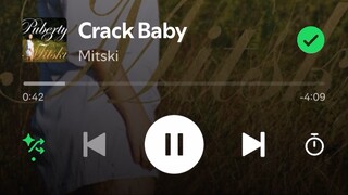 Crack Baby - Mitski