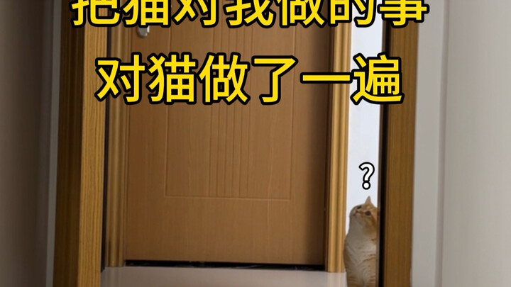 I did to the cat exactly what the cat had done to me…