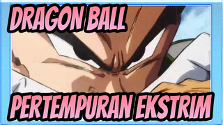 DRAGON BALL|【Komplikasi Epik/Ketukan Singkron】Pertempuran Ekstrim