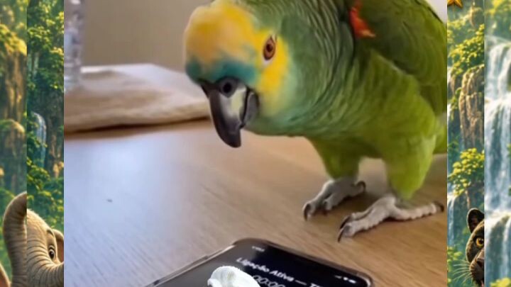 Funny Parrot 😂 | Smart Talking Bird