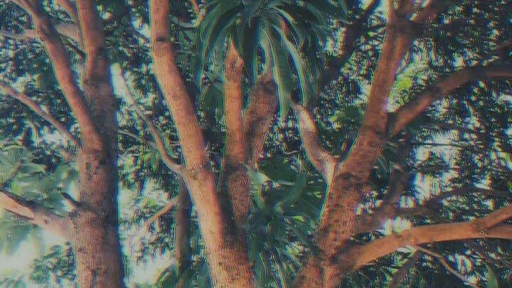 Nothing me without you and you have nothing without me.