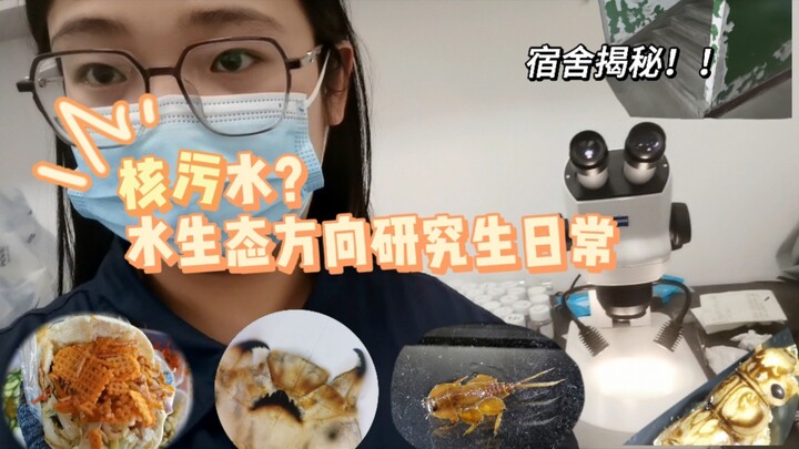 【Vlog】Inside a Xi’an Polytechnic University Graduate Dorm | A Day in the Life of an Ecology Graduate