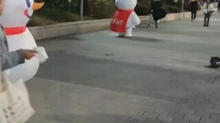 โซล คุณสมบัติราชาหิมะตื่นขึ้น เริ่มออกล่า